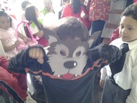 Images